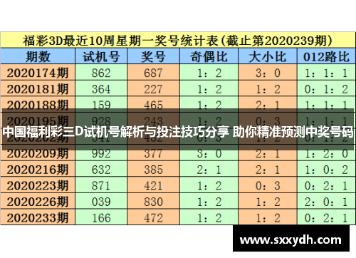 中国福利彩三D试机号解析与投注技巧分享 助你精准预测中奖号码